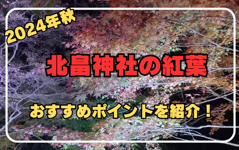 【2024年最新版】三重県・北畠神社の紅葉｜おすすめポイントを紹介！