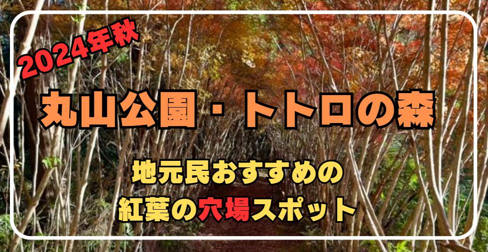 【2024年秋】三重県・丸山公園トトロの森！紅葉の穴場スポットを徹底ガイド